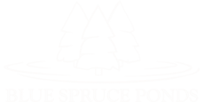 Blue Spruce Ponds