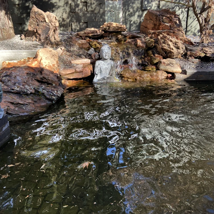 Pond Construction in Denver, CO