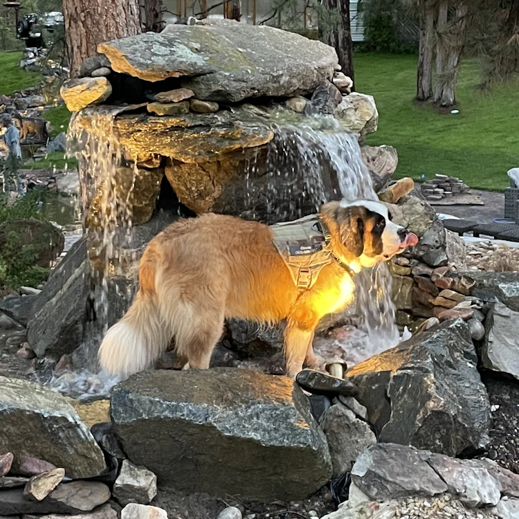 Pond Construction in Denver, CO