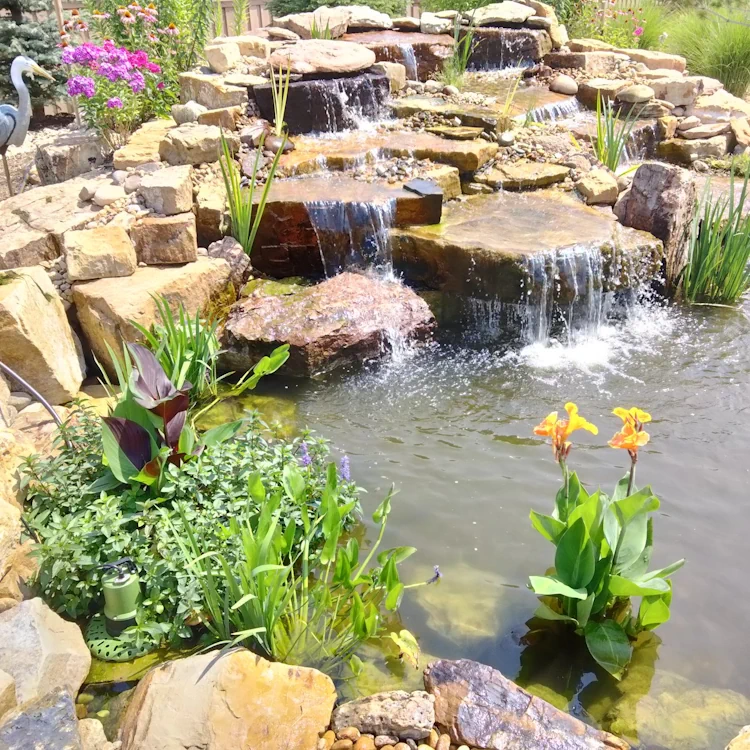 Pond Construction in Denver, CO